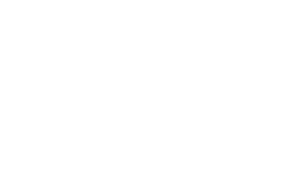Dvisit logo